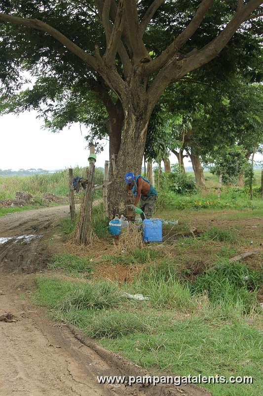 Man Pumping the Deep Well