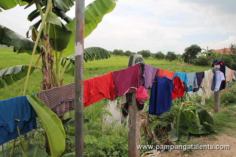 Clothes Line Along the Road
