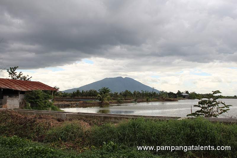 View of Mt. Arayat