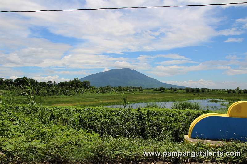 View of Mt. Arayat