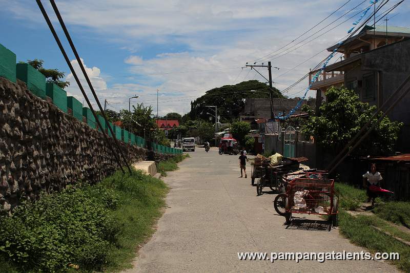 Houses Beside the Bridge