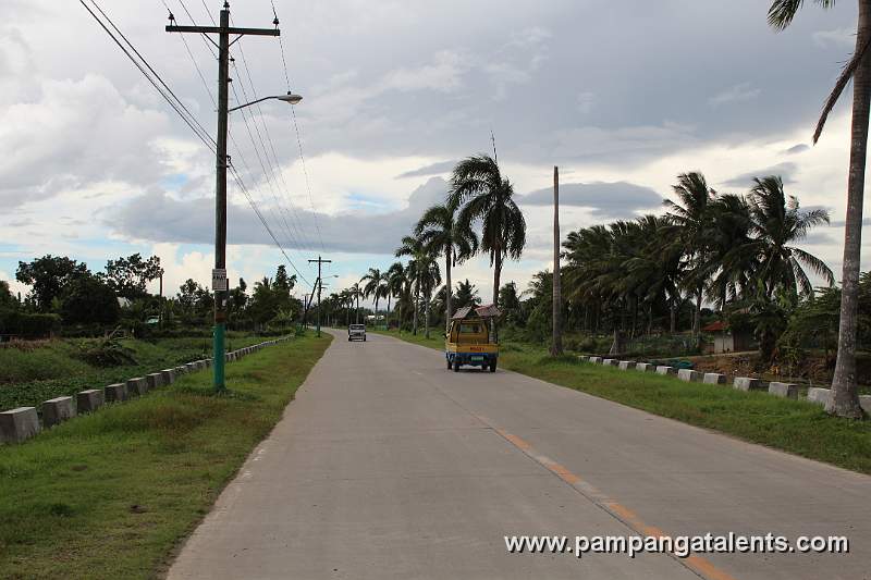 Jeepneys on the Road
