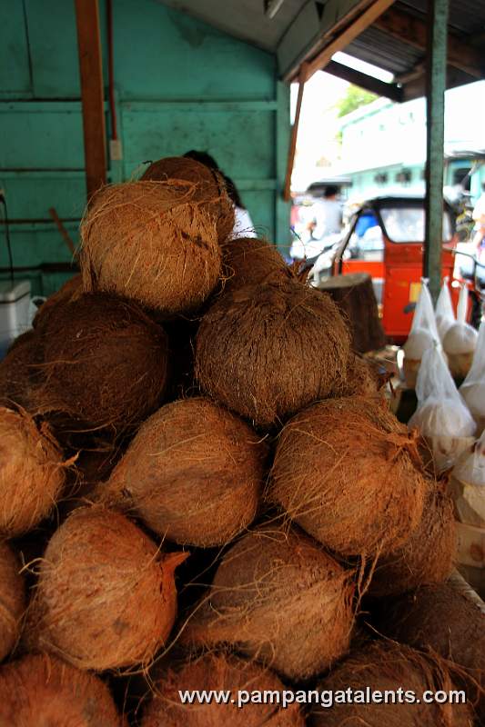 Matured Coconut