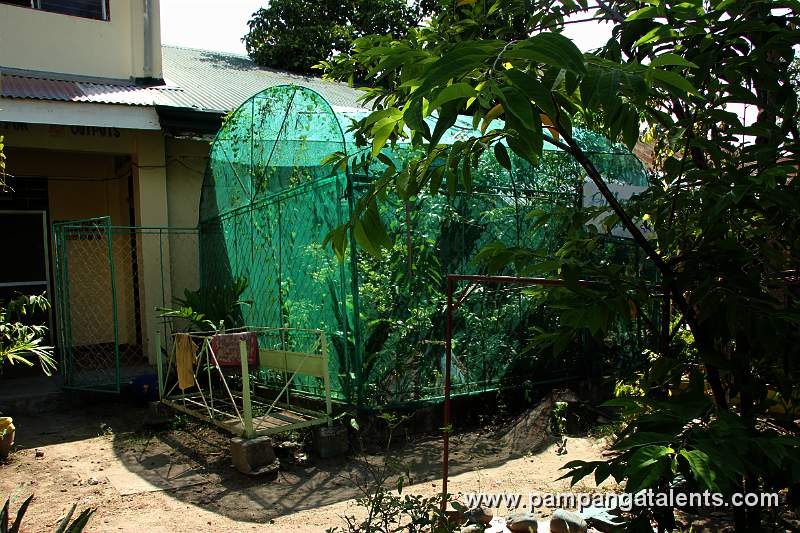 Green House