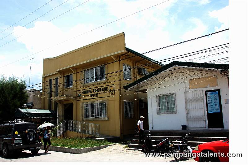 Municipal Agricultural Office