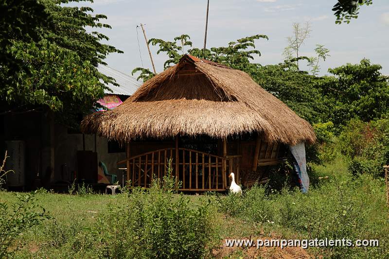 Bamboo Nipa Hut