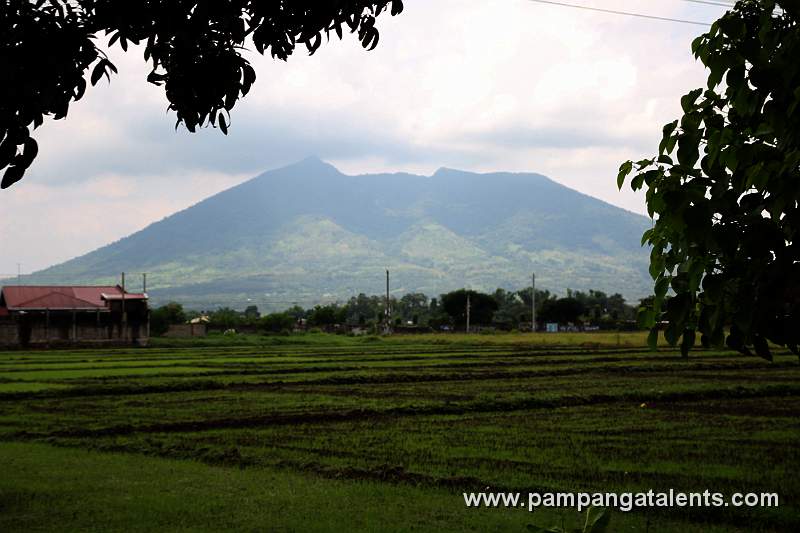 Mt. Arayat View