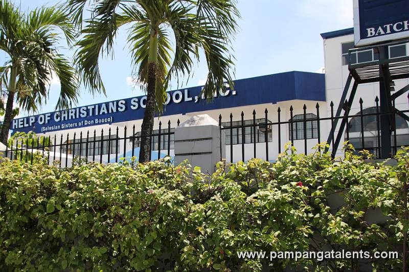 Bounggainvilla Plants