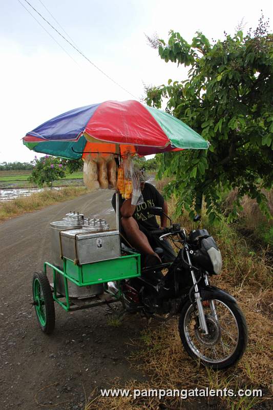 Ice  Cream  Vendor