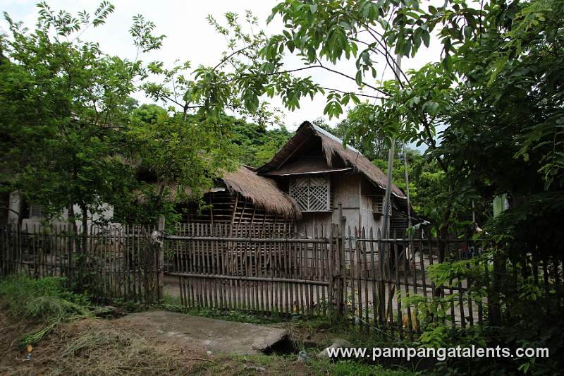 Nipa Hut