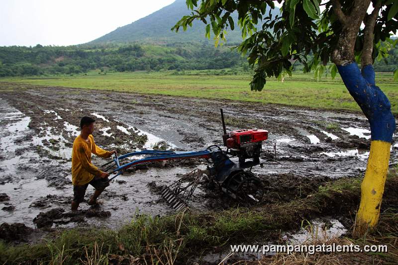 Farmer on Field