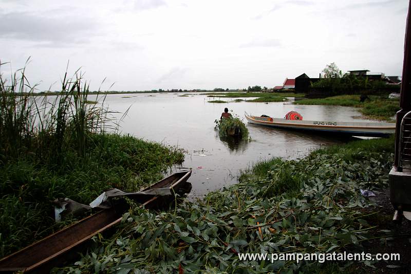 Boat Public Transportation