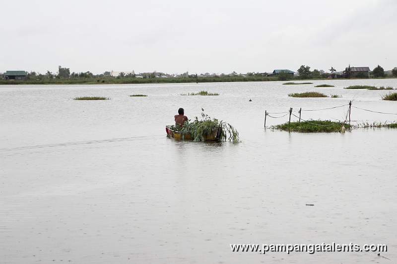 Man On Boat