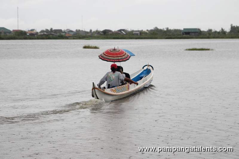 Boat as Public Transportation