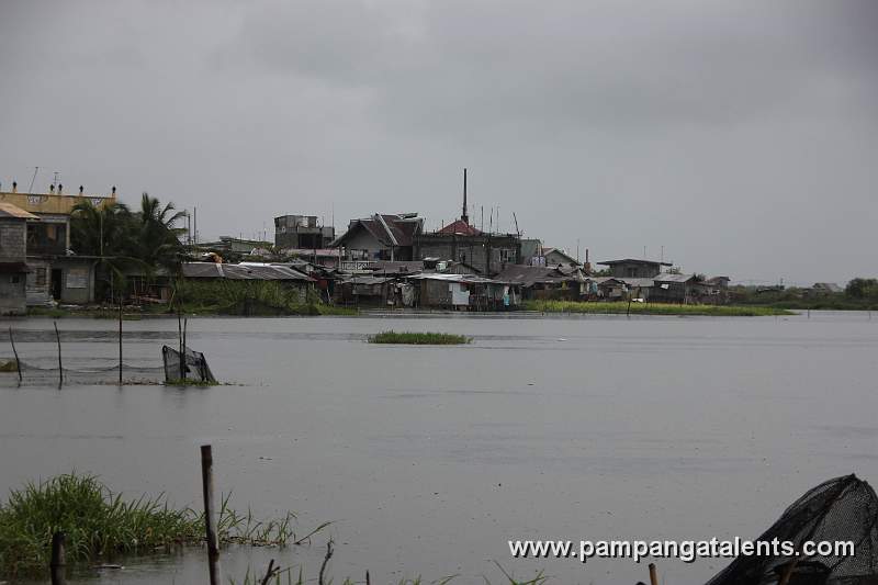 Houses Accross the River