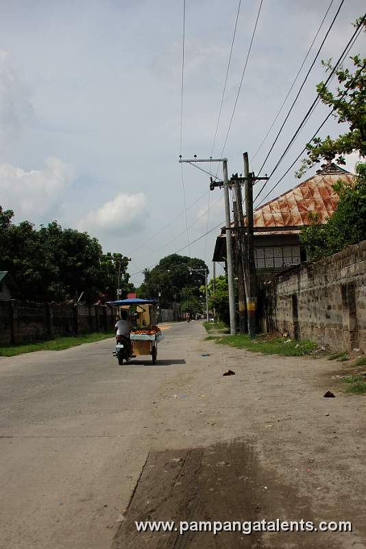 Banana Vendor on Tricycle