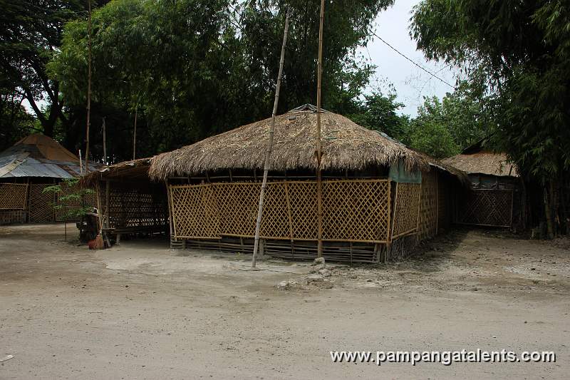 Nipa Hut