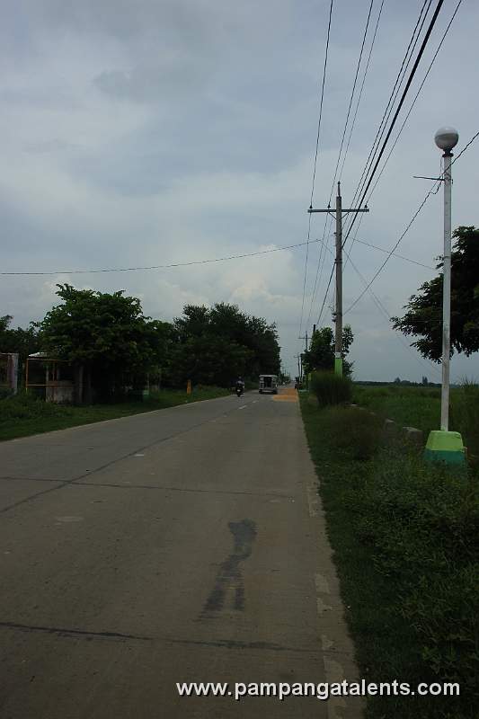 Main Road