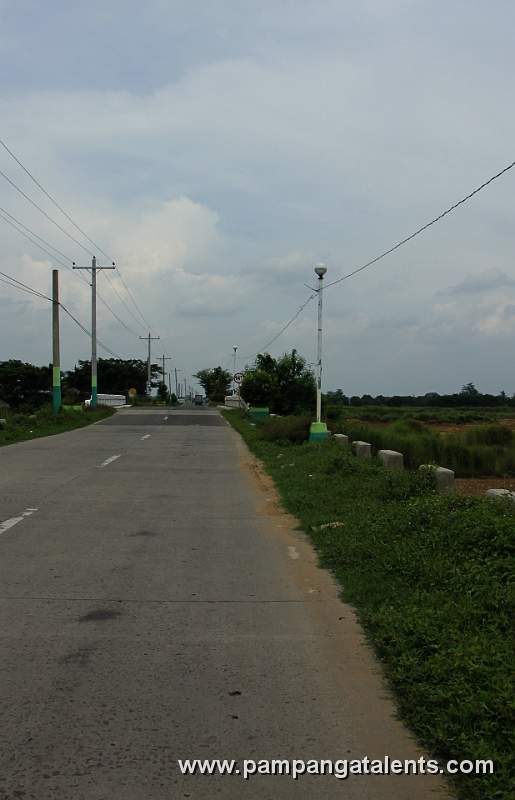 Main Road