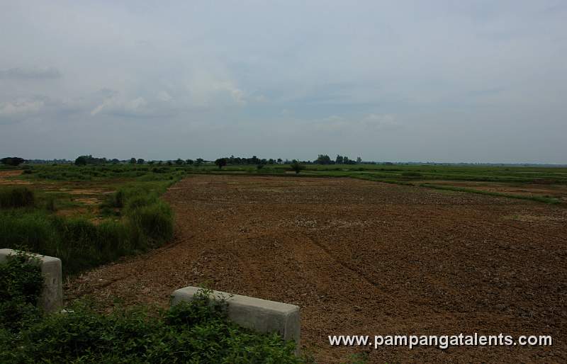 Farm Lots