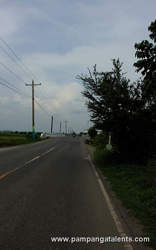Main Road