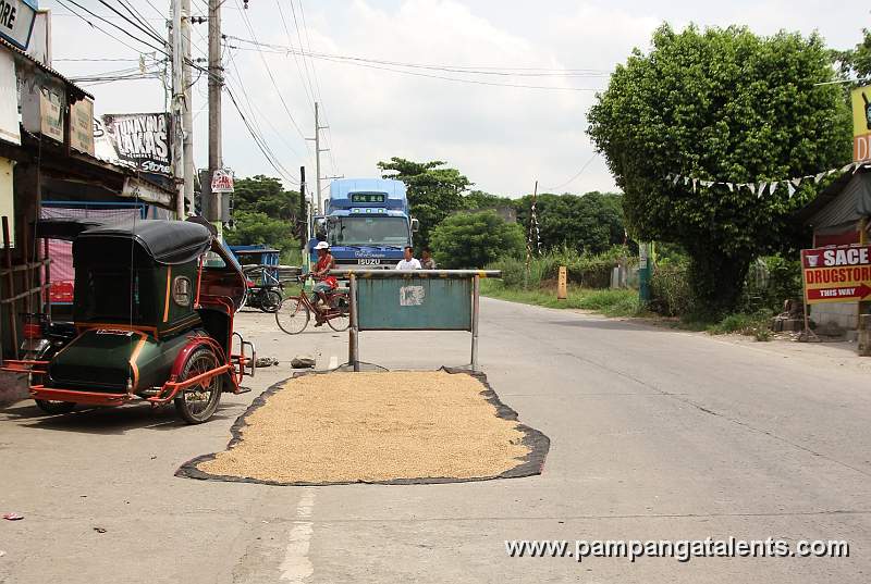 Rice Grains on the Road