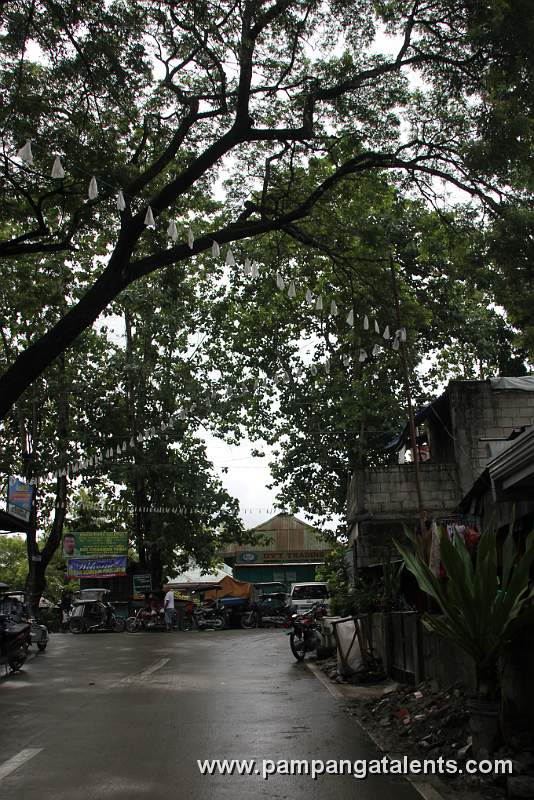 Tricycle Terminal Under Acacia Tree