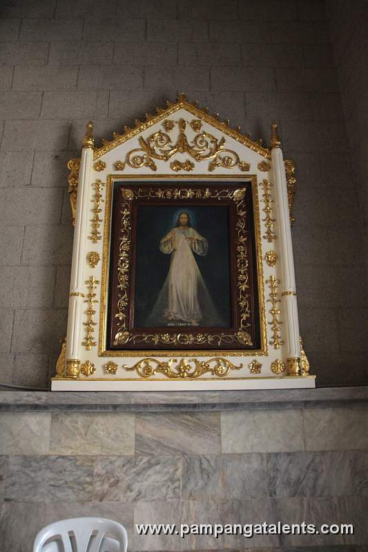 Jesus King of Mercy Image