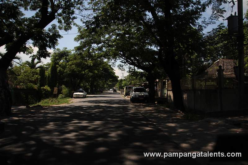 Main Road