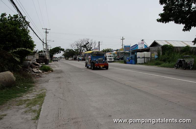 Sarao Jeepney on the Road