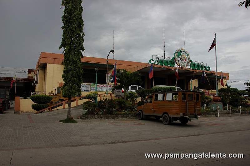 Public Utility Jeepney