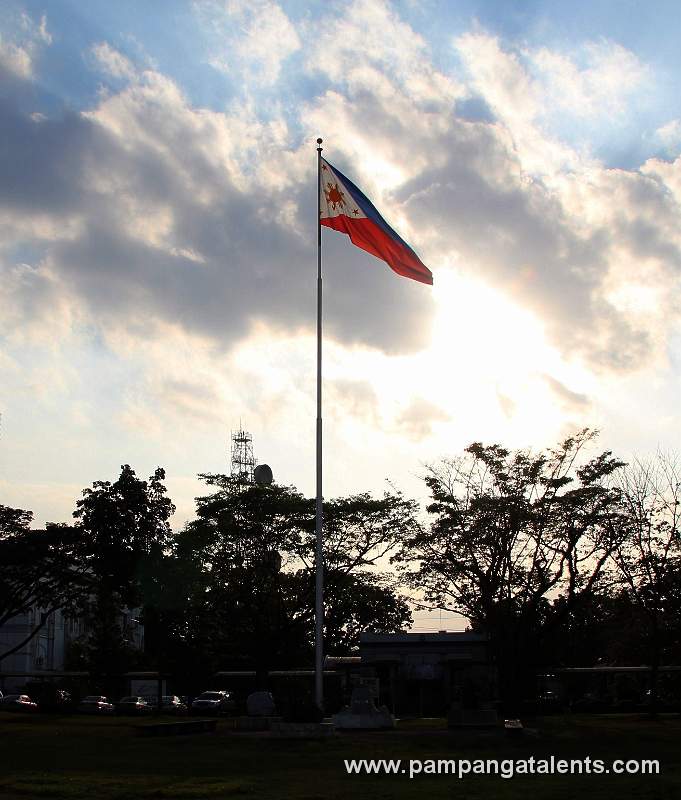 Single Philippines Flag