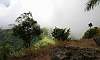 Tagaytay_People_Park_21.JPG