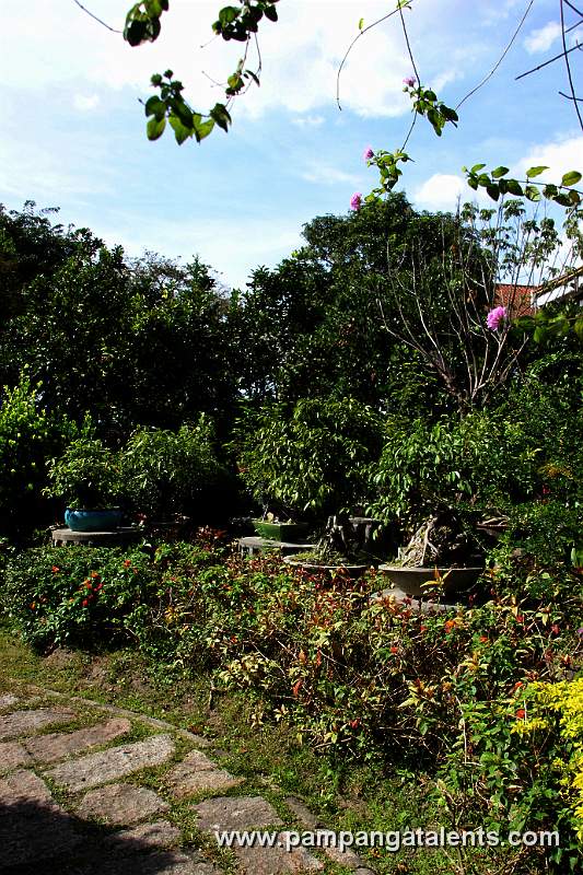 Garden in Baluarte De San Diego