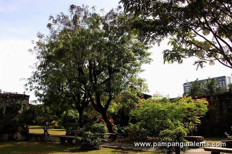 Garden in Baluarte De San Diego