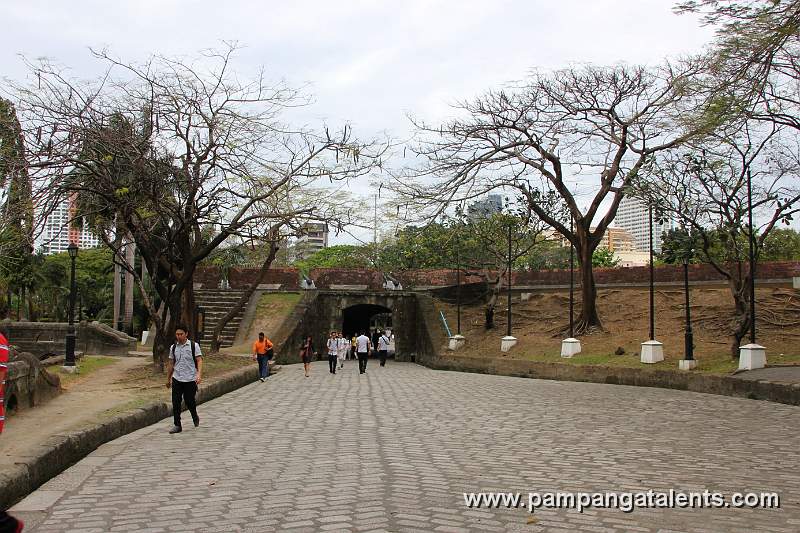 Defense Line of Revellin de Parian