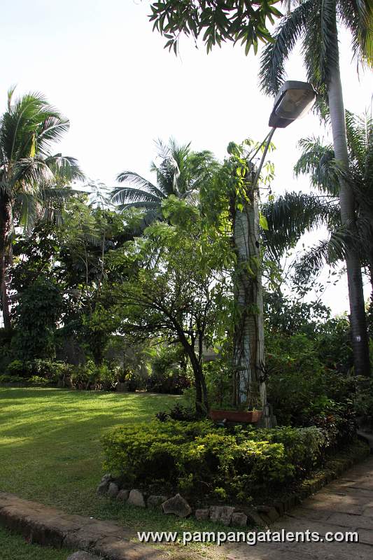 Garden of Puerta Real