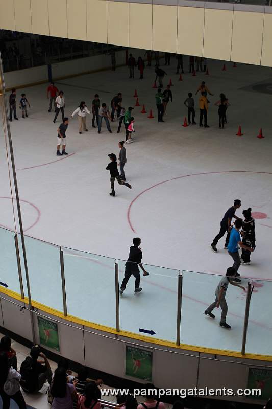Icefield