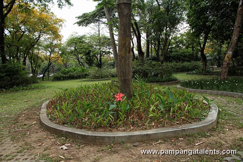 Inside Hardin ng mga Bulaklak (Flower Garden) in Quezon Memorial Circle in Quezon City.