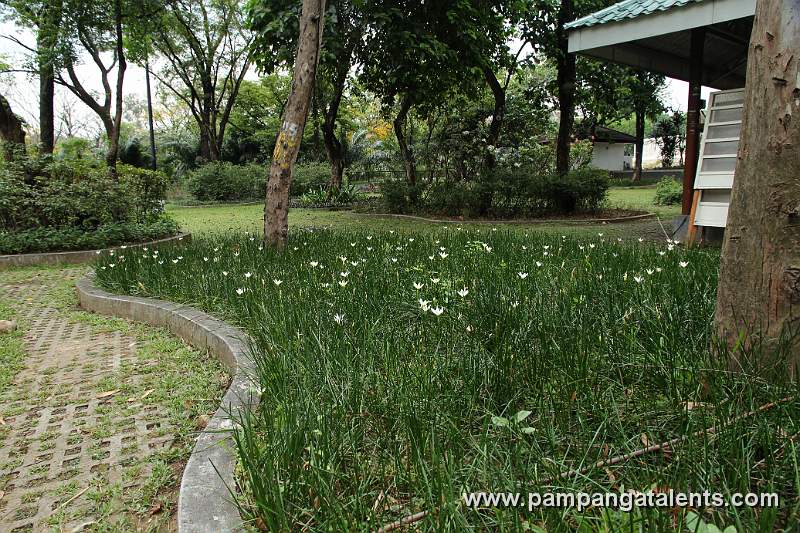 Overview of Hardin ng mga Bulaklak or Flower Garden in Quezon Memorial