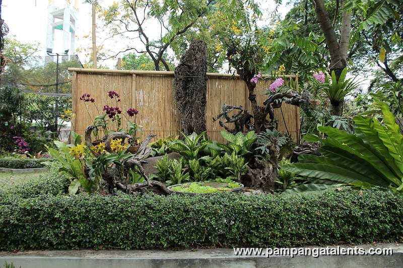 Inside Hardin ng mga Bulaklak (Flower Garden) in Quezon Memorial Circle