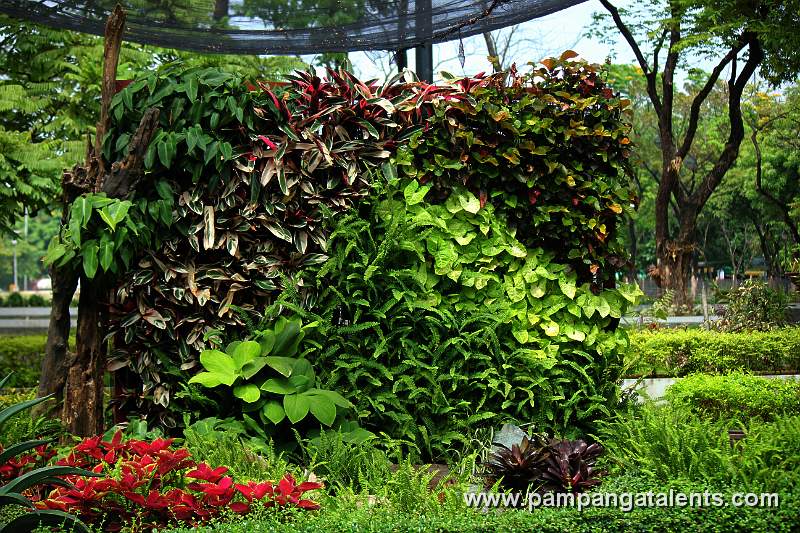 Walkway Trellis along hardin ng mga Bulaklak in Overview of Landscape