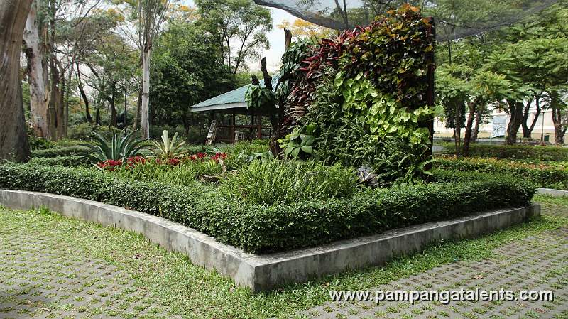 Tropical Plants Landscape in Quezon Memorial Circle in Quezon City.