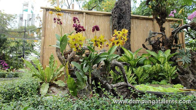 Cycnoches Yellow Flower Orchids in Quezon Memorial Circle in Quezon City.