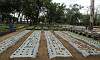 Black Plastic Gardening in Urban Farming Garden of Quezon Memorial Circle.  Location: Quezon City Circle – Manila Philippines