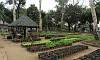 The Joy of Urban Farming Vegetable Garden in Quezon Memorial Circle.  Location: Quezon City Circle – Manila Philippines