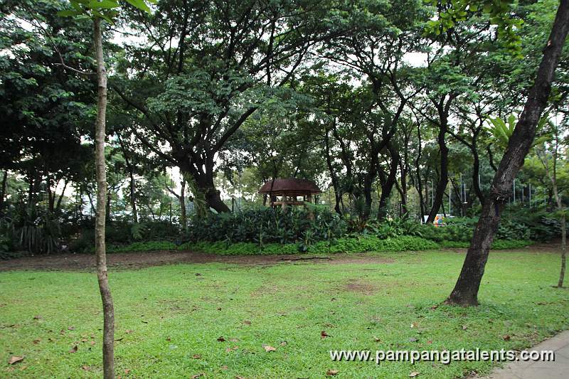 Park Landscape of Quezon Memorial Circle with World Peace Bell in Background