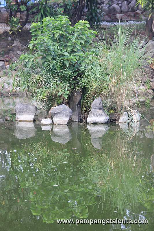 Chinese garden Manila
