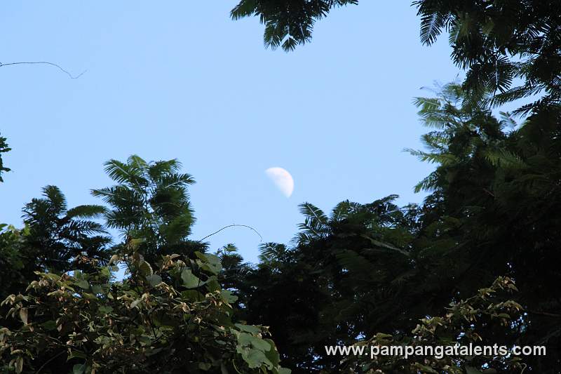 Day moon over Subic Bay Forest