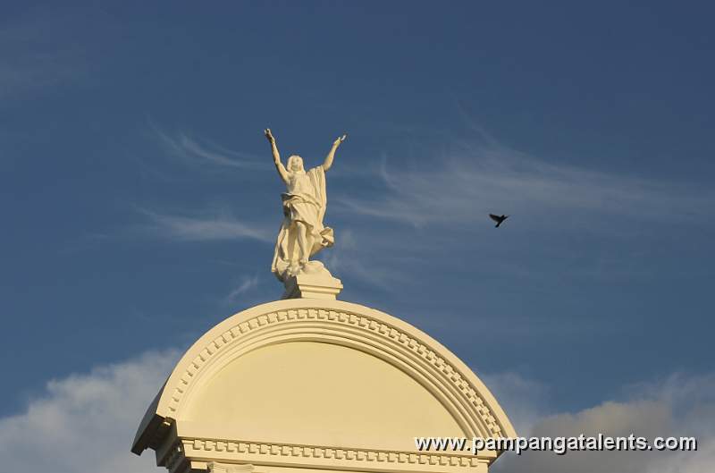 Bird in the Blue Sky